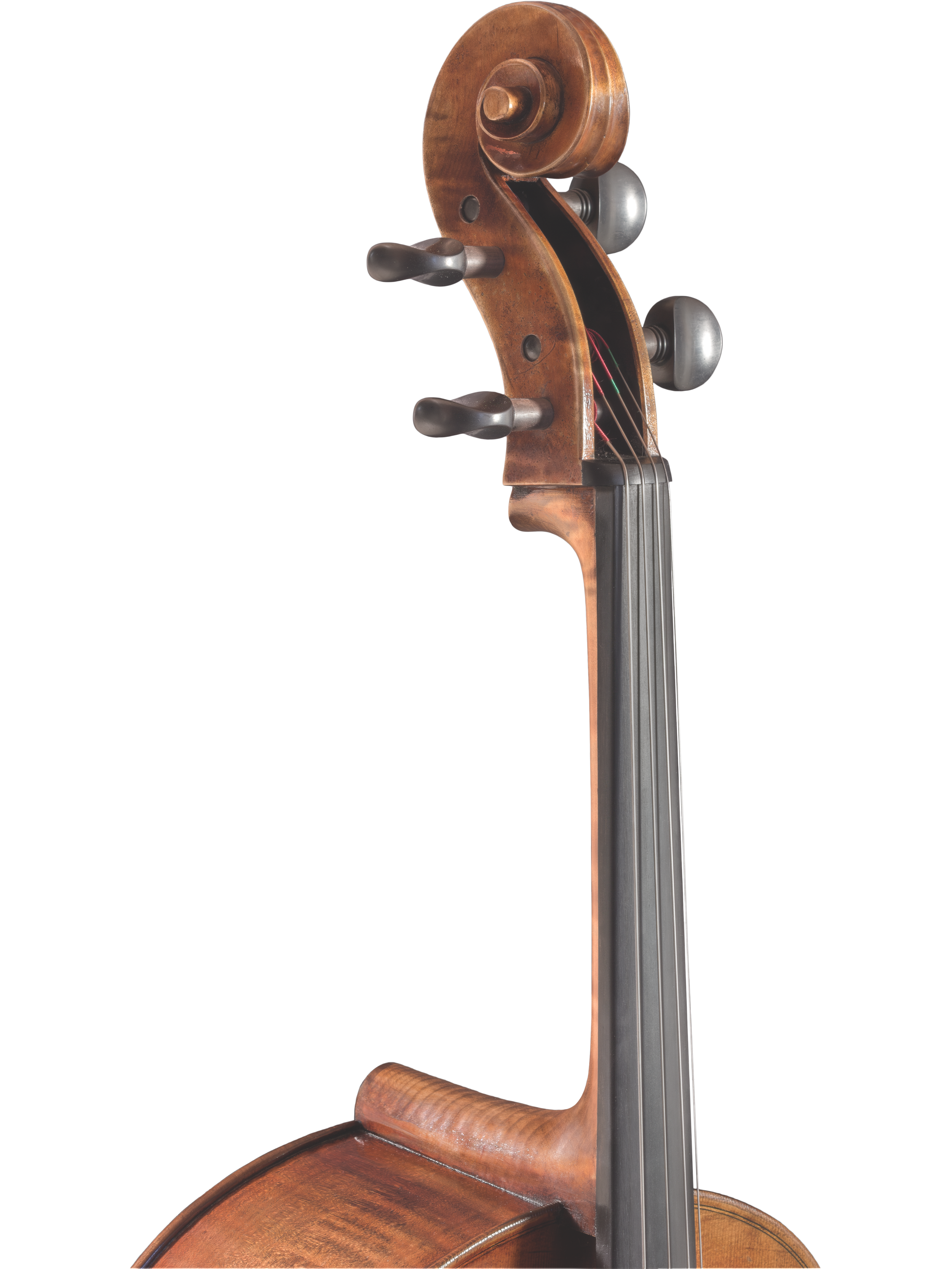 Lady Claire Cello — Maple Leaf Strings